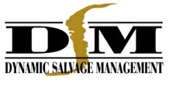 DSM - Dynamic Salvage Management